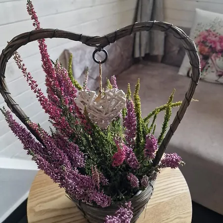 ゲストハウス Krysztalowy Dworek シャフラリ