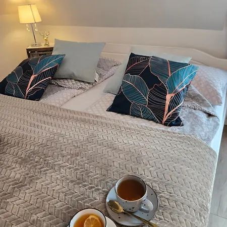 Krysztalowy Dworek ゲストハウス