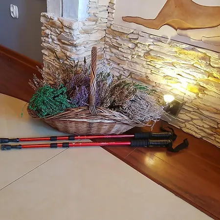 Krysztalowy Dworek ゲストハウス