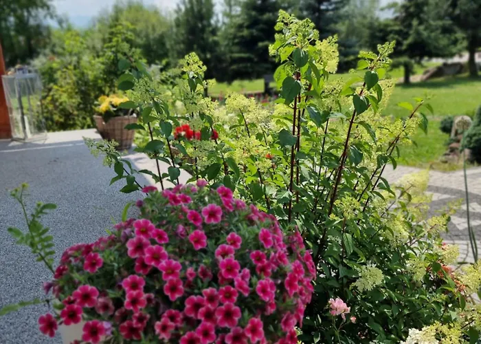 게스트하우스 Krysztalowy Dworek